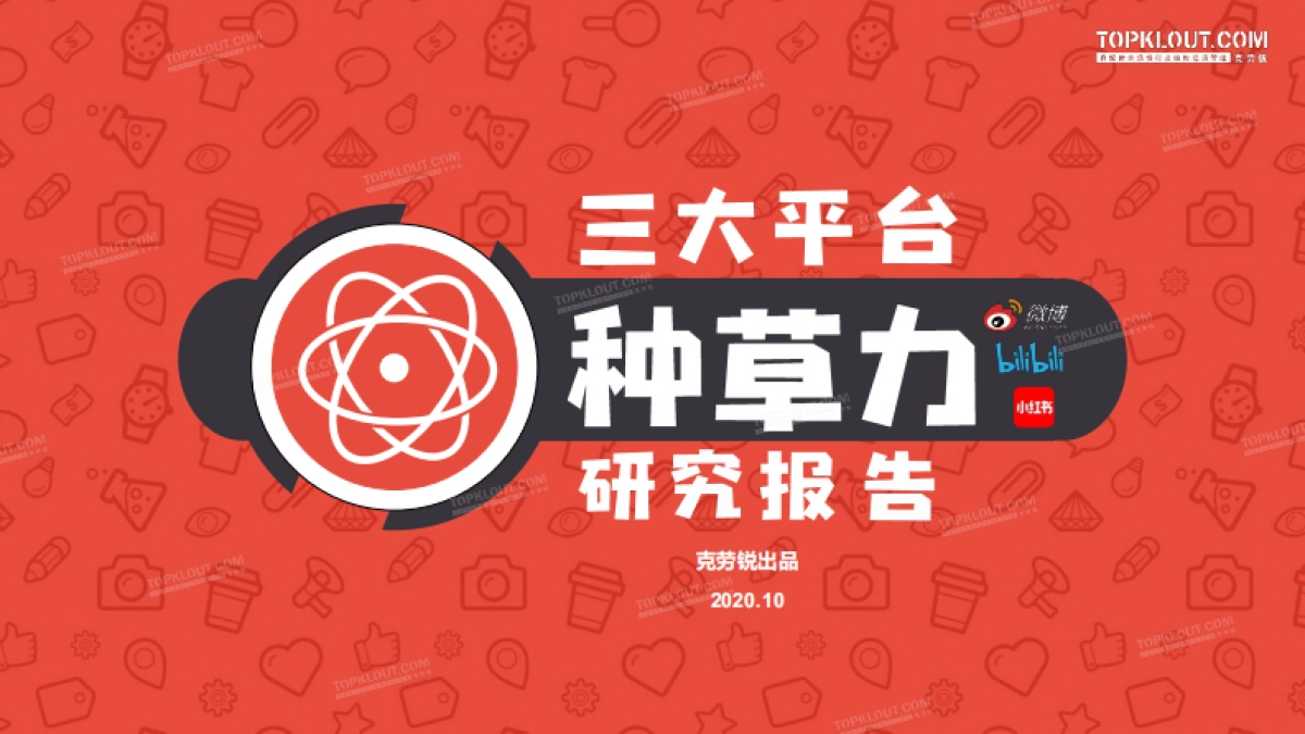 三大平台种草力研究报告_第1页