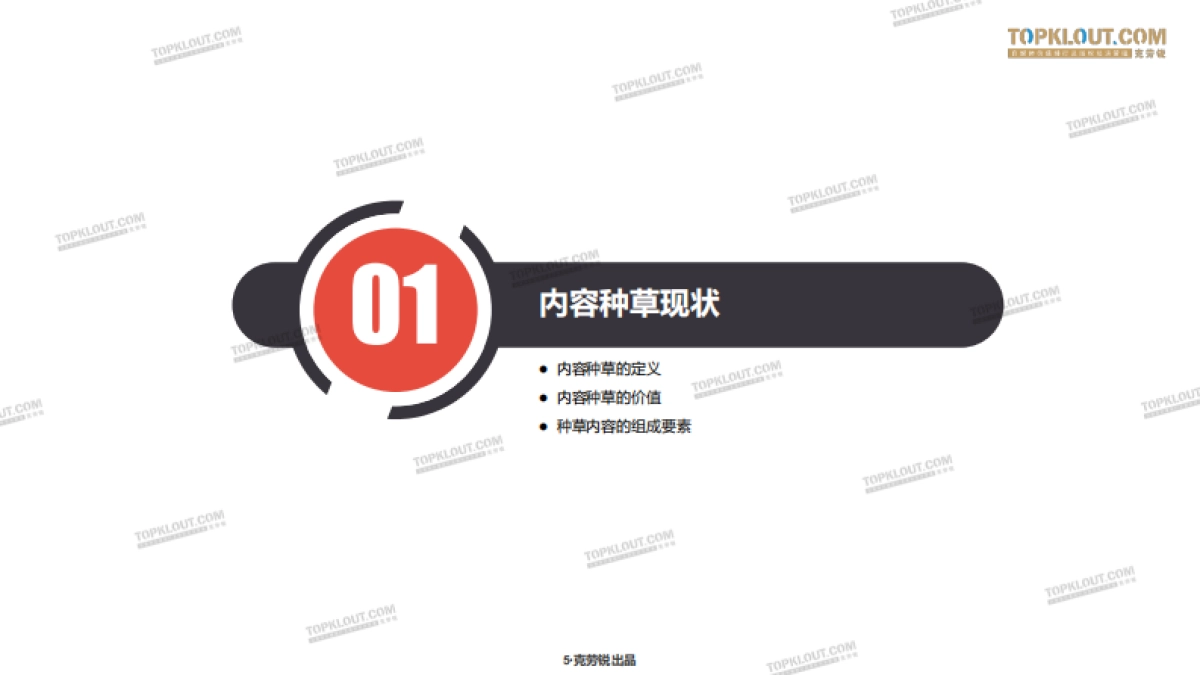 三大平台种草力研究报告_第5页