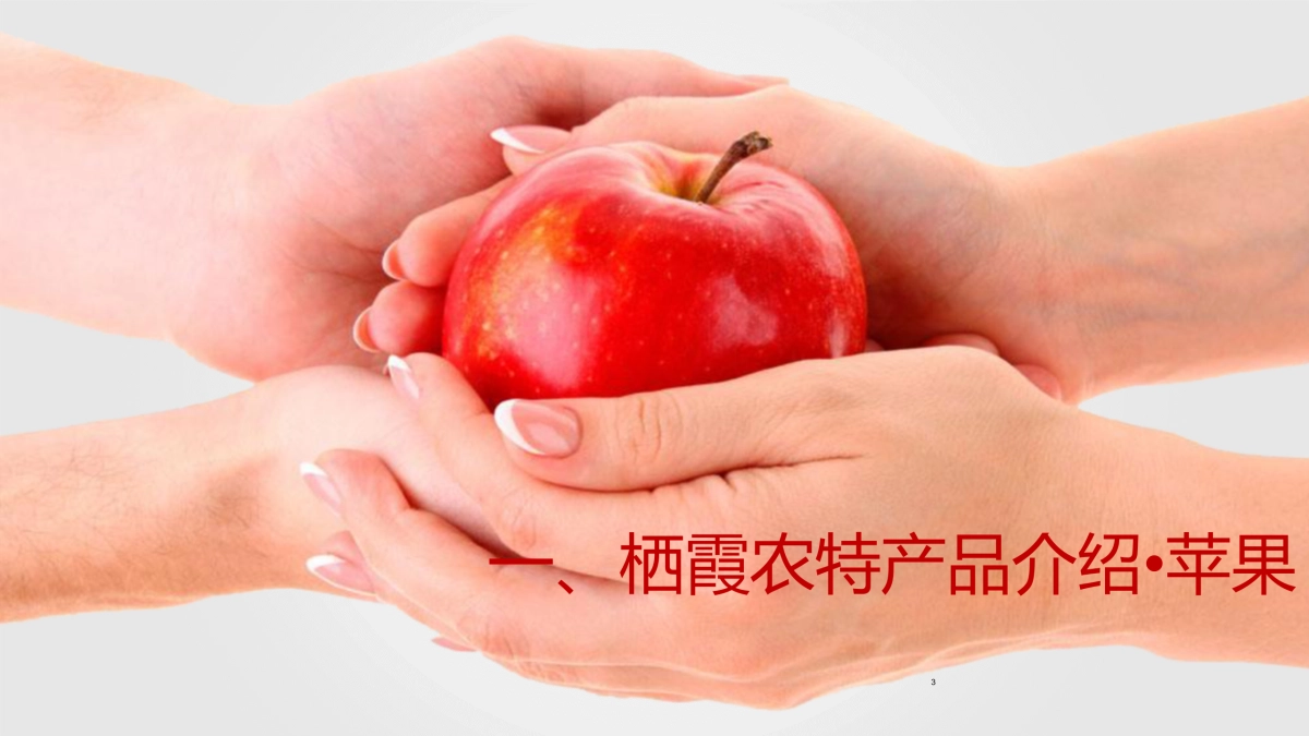山东栖霞苹果推介方案_第3页