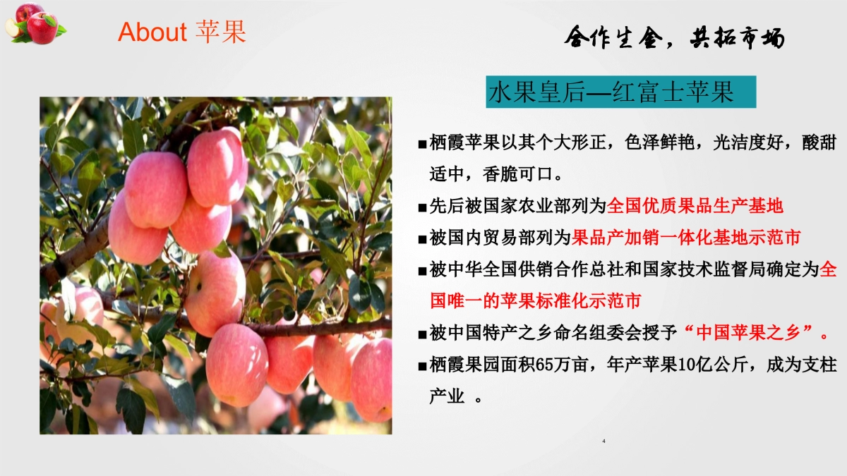 山东栖霞苹果推介方案_第4页