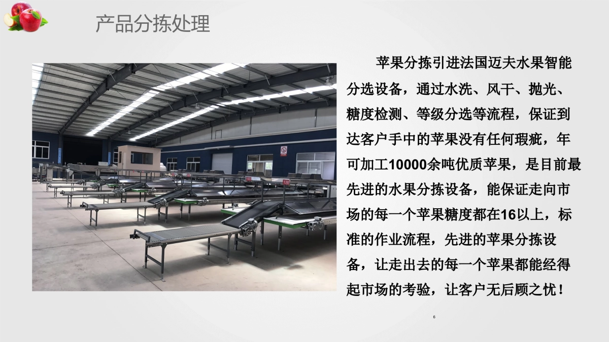 山东栖霞苹果推介方案_第6页