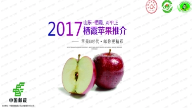 山东栖霞苹果推介方案