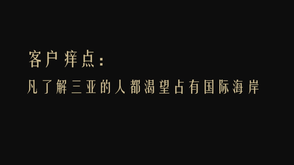 深圳道里-三亚晋合海棠湾策略方案_第5页