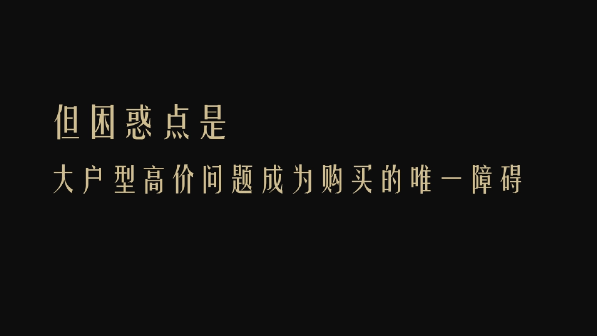 深圳道里-三亚晋合海棠湾策略方案_第6页