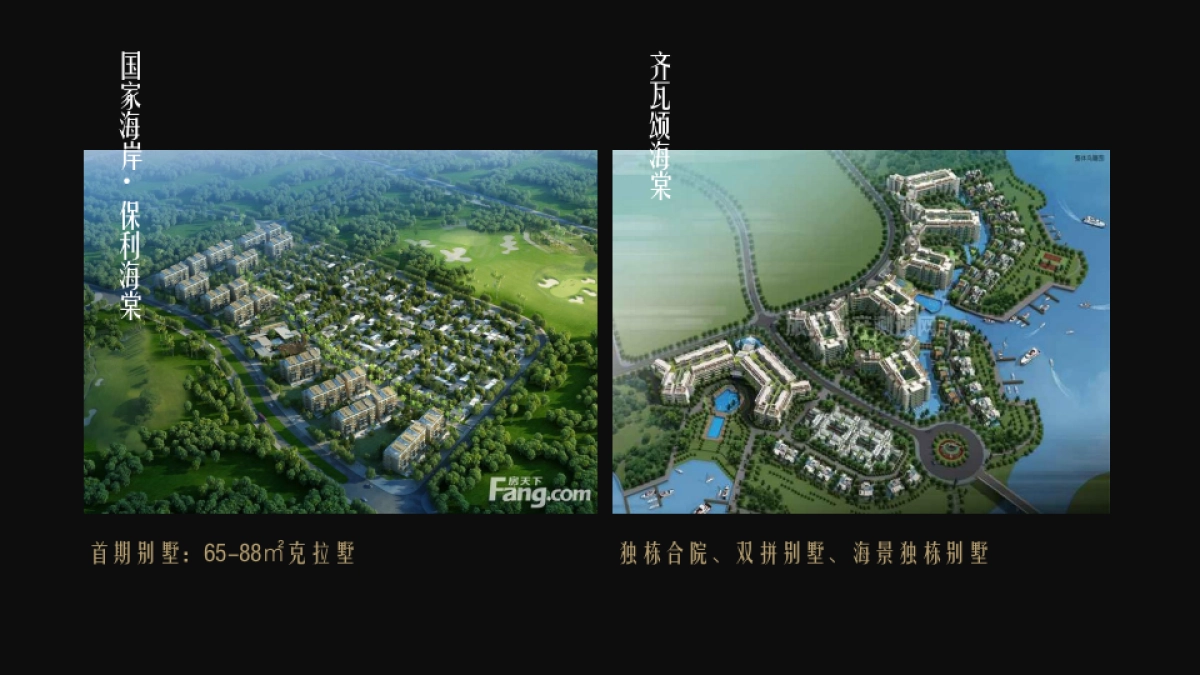 深圳道里-三亚晋合海棠湾策略方案_第7页