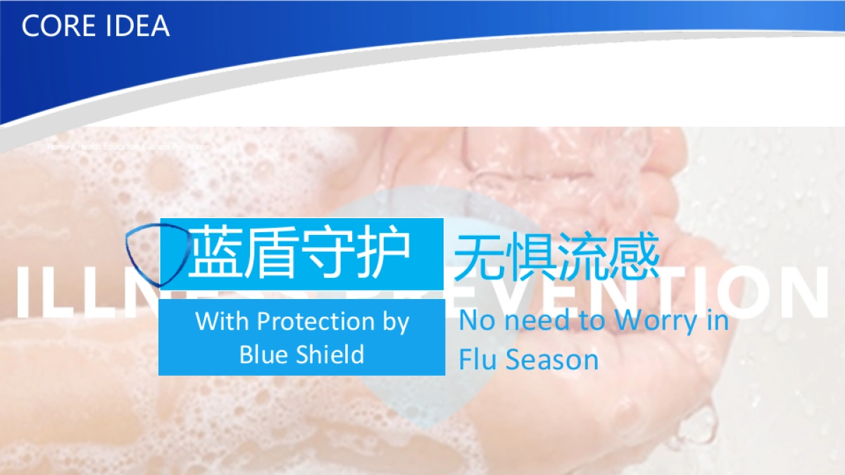 舒肤佳PCC_Ecom_OND_PLAN_第5页