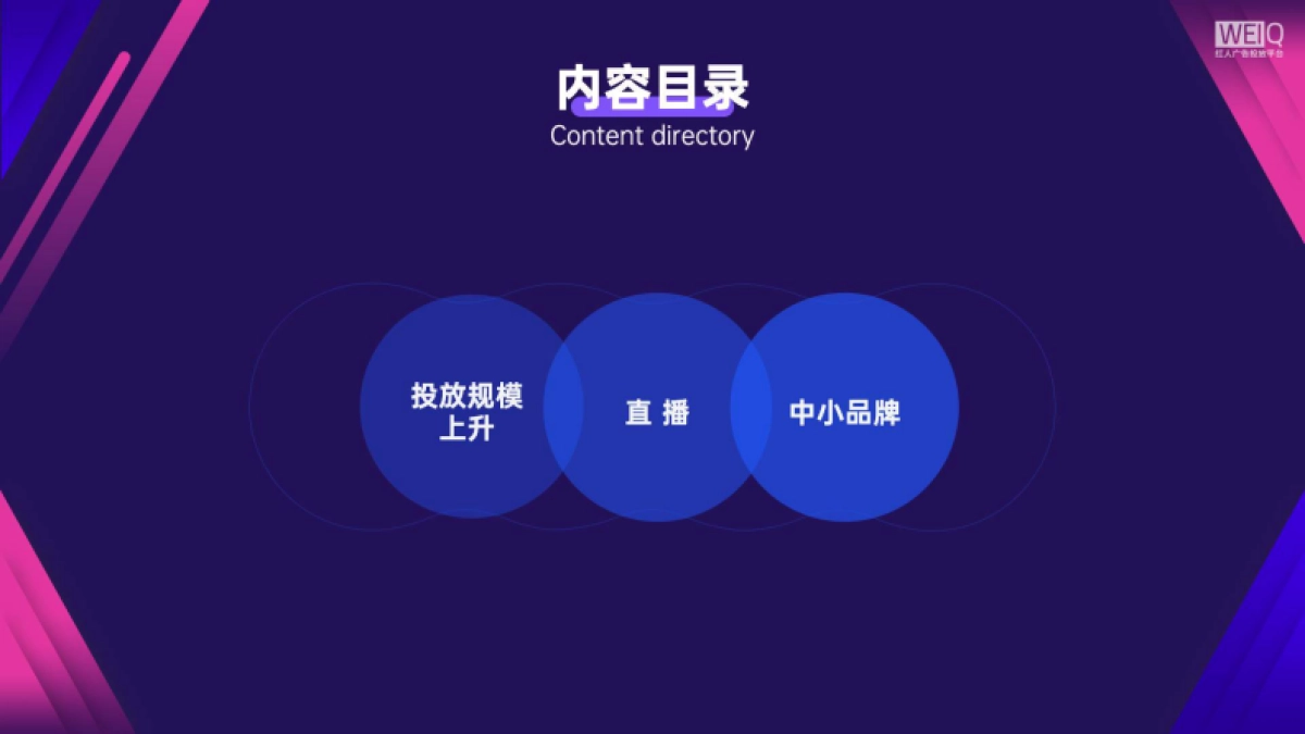 双十一广告主红人投放盘点及营销分析报告_第5页