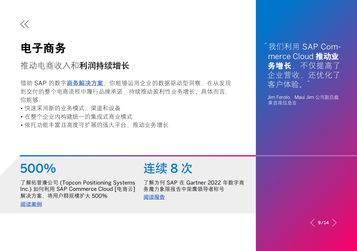 思爱普：2023智慧客户体验管理白皮书：卓越体验始终如一_第9页