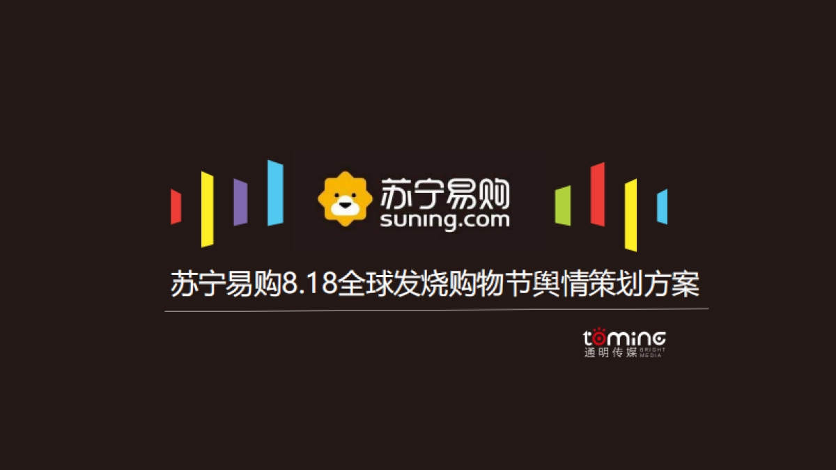 苏宁易购舆情方案_第1页