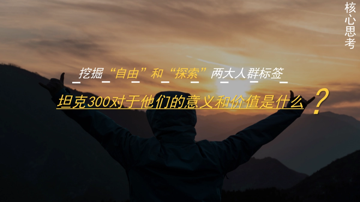 所怀信仰，终将抵达-坦克300_第3页
