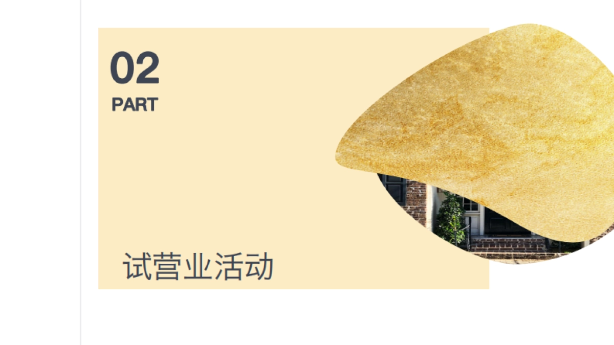 天子山传奇镇开园方案_第7页