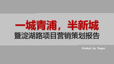 同策上海青浦新城盛誉世家项目营销策划报告提报稿