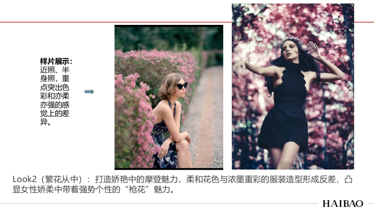 佟丽娅拍摄方案_第6页