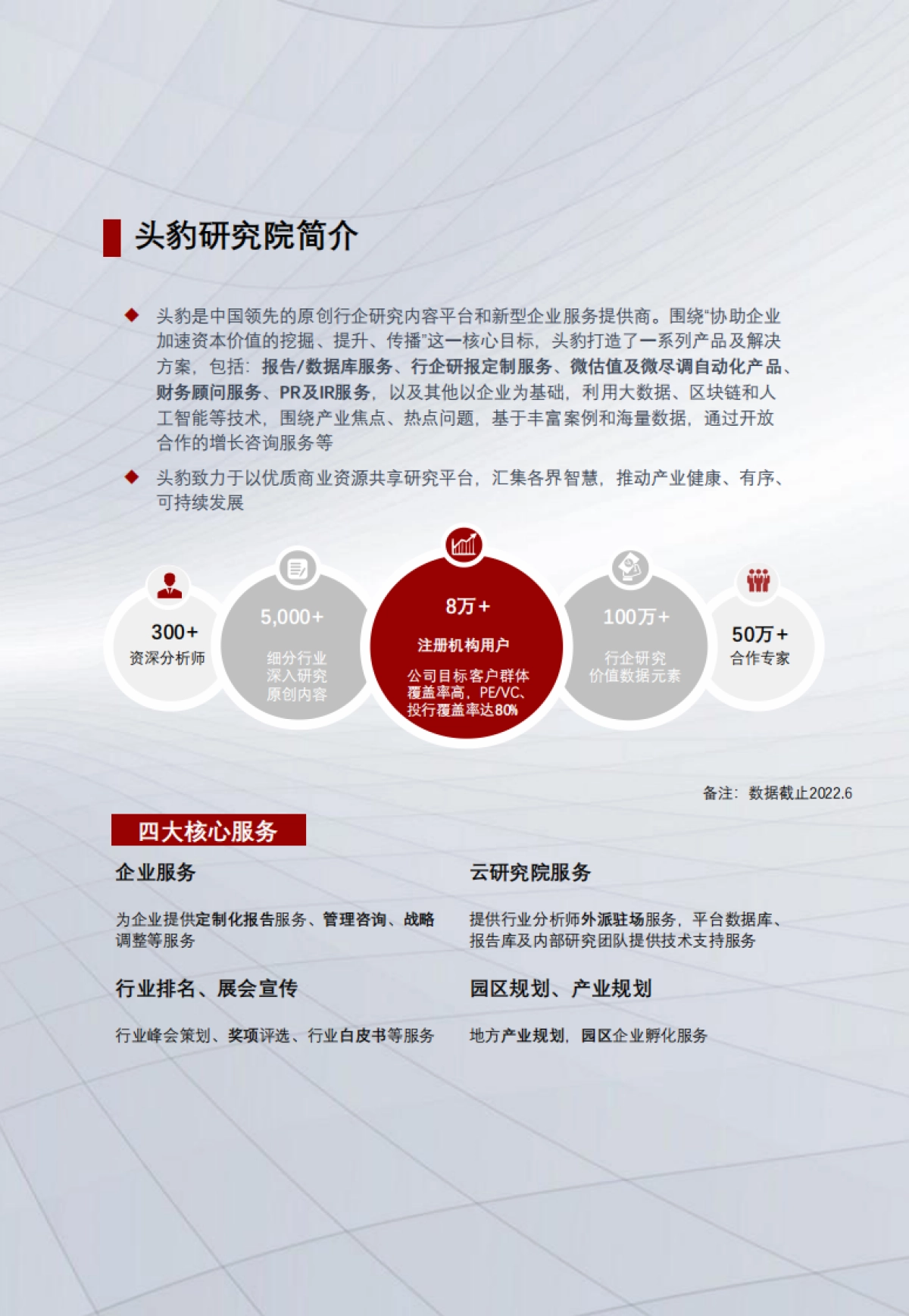 头豹：2023年钠离子电池下游应用市场解读-降本可期-下游应用前景广阔（摘要版）_第10页