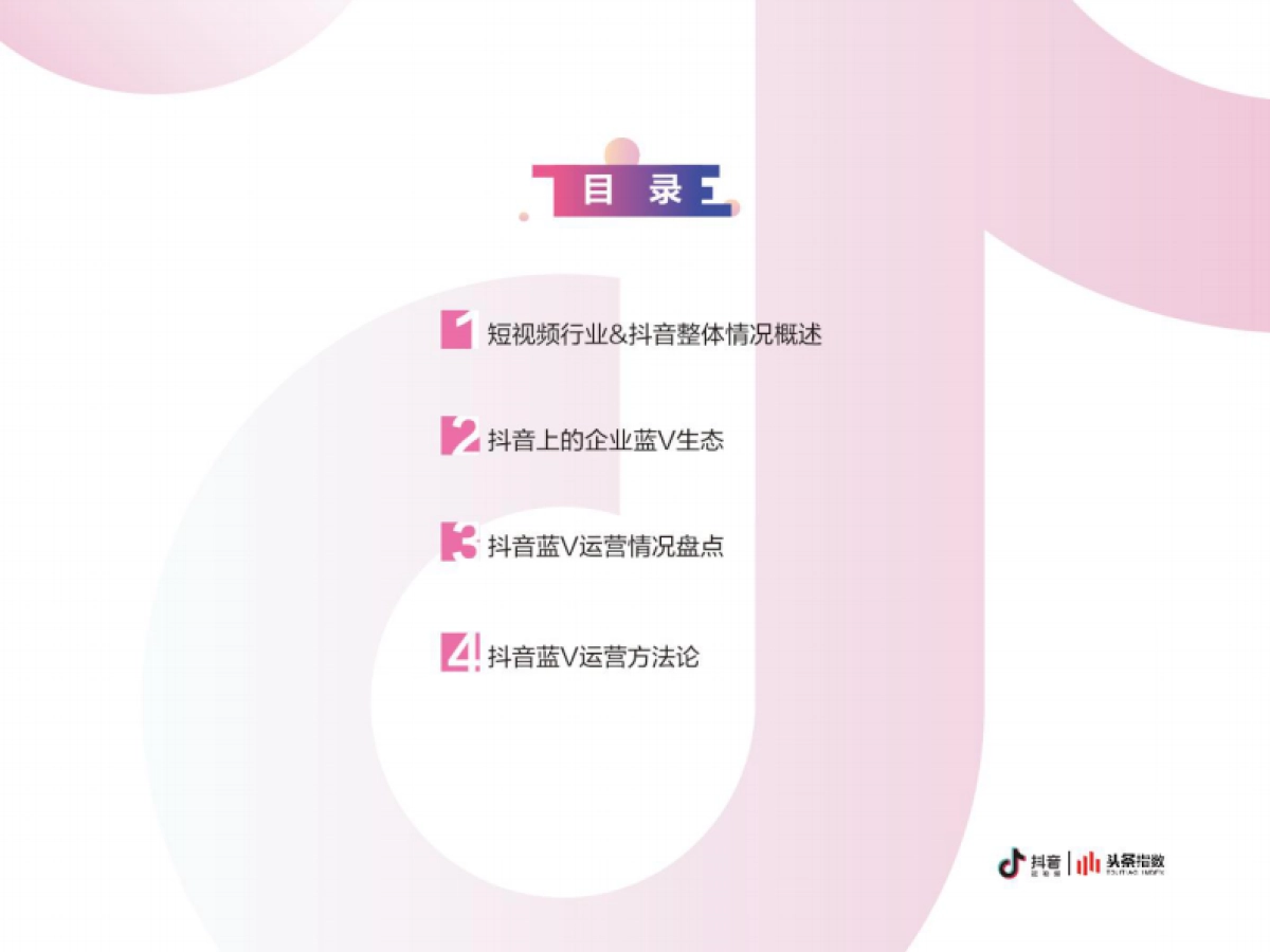 头条指数：抖音企业蓝V白皮书_第4页