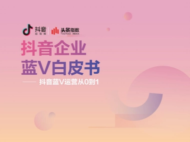 头条指数：抖音企业蓝V白皮书
