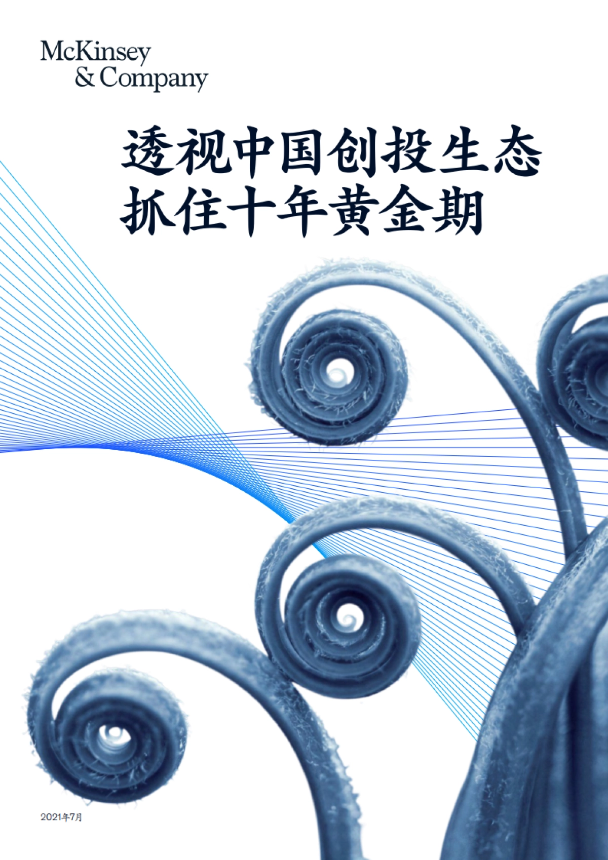 透视中国创投生态抓住十年黄金期(2021)-麦肯锡_第1页