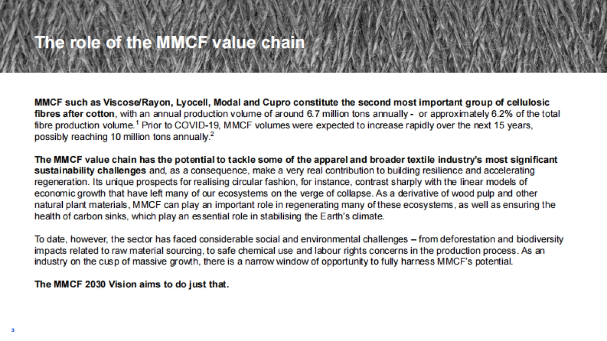 未来论坛：人造纤维素纤维报告2030_第3页