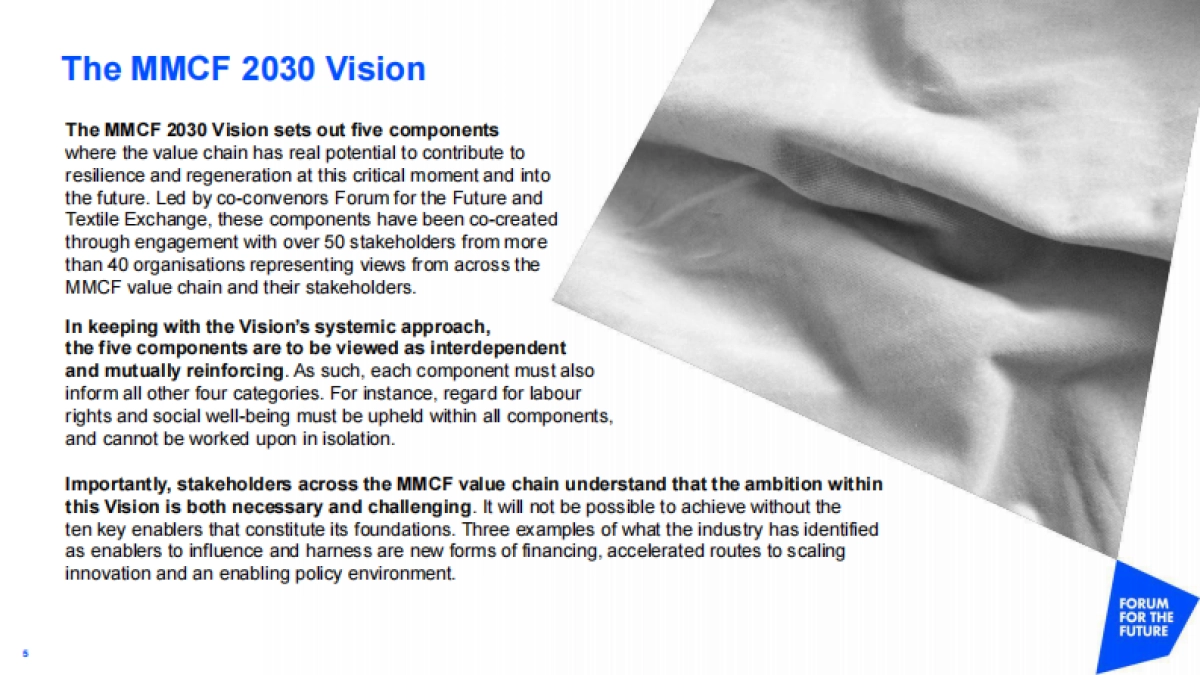 未来论坛：人造纤维素纤维报告2030_第5页