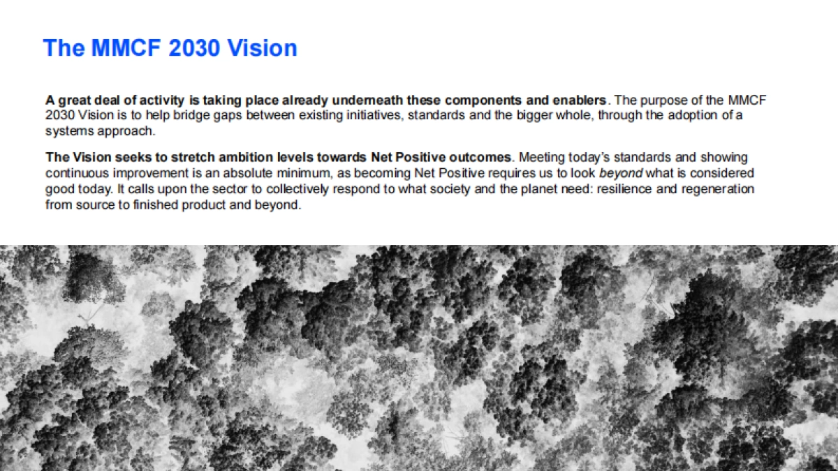 未来论坛：人造纤维素纤维报告2030_第6页