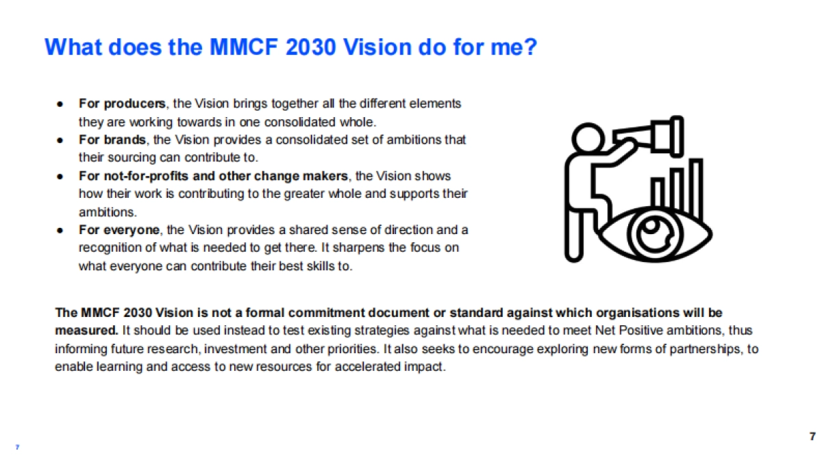 未来论坛：人造纤维素纤维报告2030_第7页