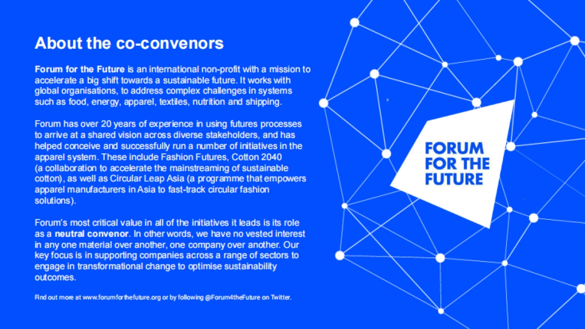 未来论坛：人造纤维素纤维报告2030_第9页