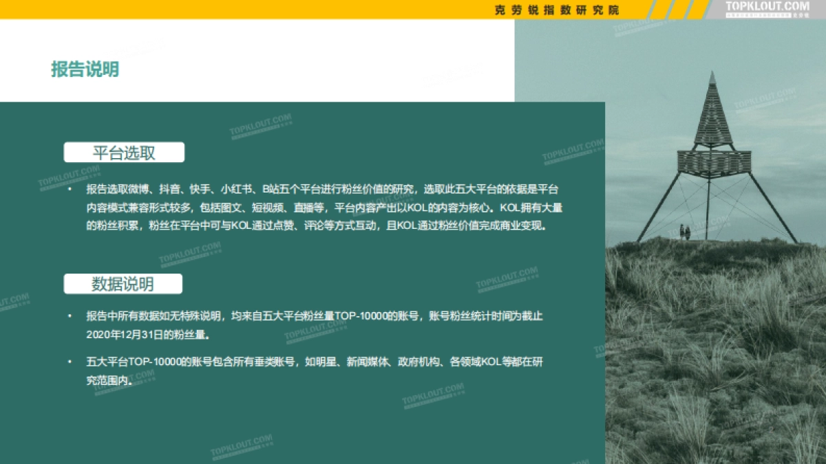 五大平台KOL粉丝分析研究报告_第3页