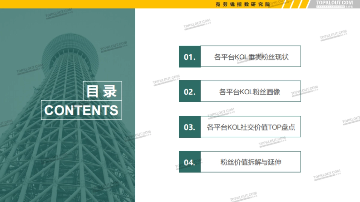 五大平台KOL粉丝分析研究报告_第4页