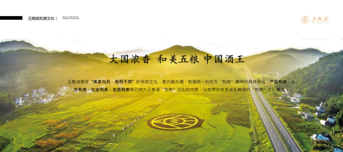 五粮液文化巡展山东站方案_第2页