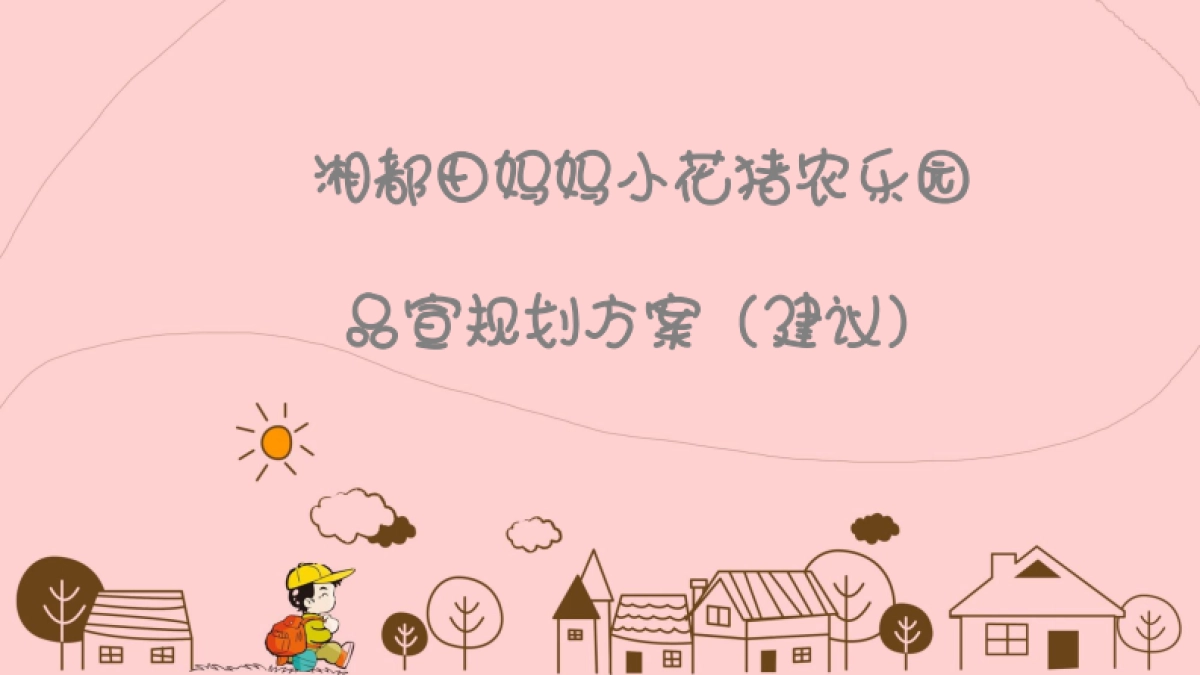 湘都田妈妈小花猪品宣规划方案_第1页
