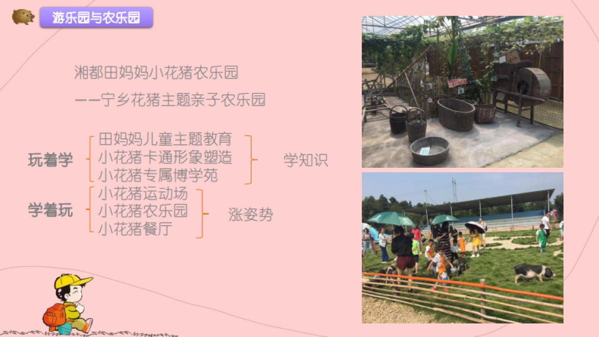 湘都田妈妈小花猪品宣规划方案_第5页