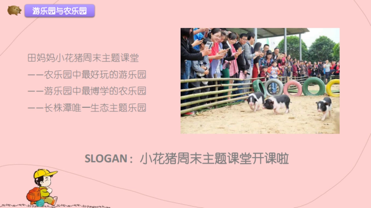 湘都田妈妈小花猪品宣规划方案_第6页
