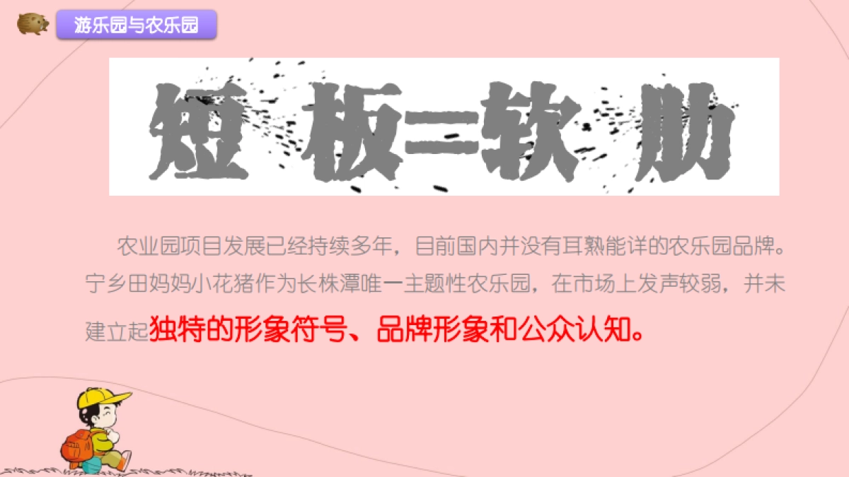 湘都田妈妈小花猪品宣规划方案_第8页