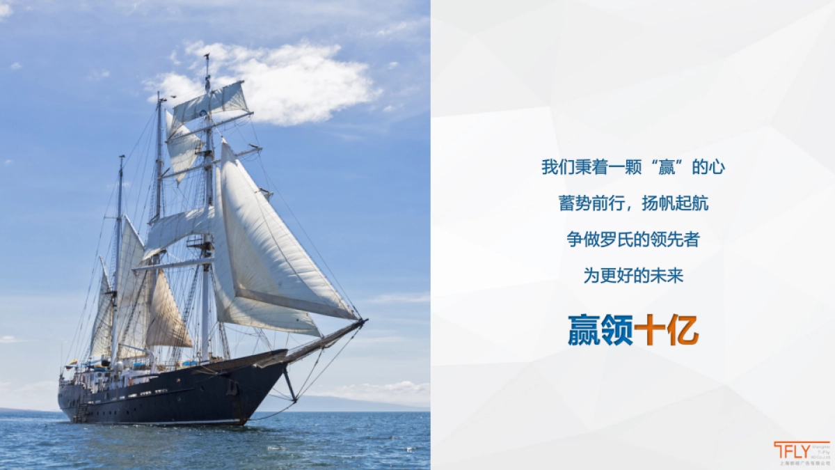 骁悉&罗氏芬双十亿内部宣传_第4页