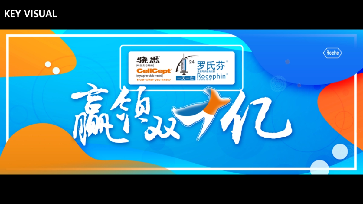骁悉&罗氏芬双十亿内部宣传_第5页