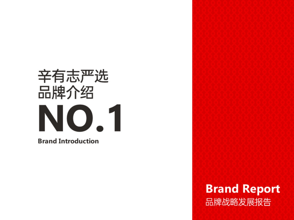 辛有志品牌战略发展报告_第2页