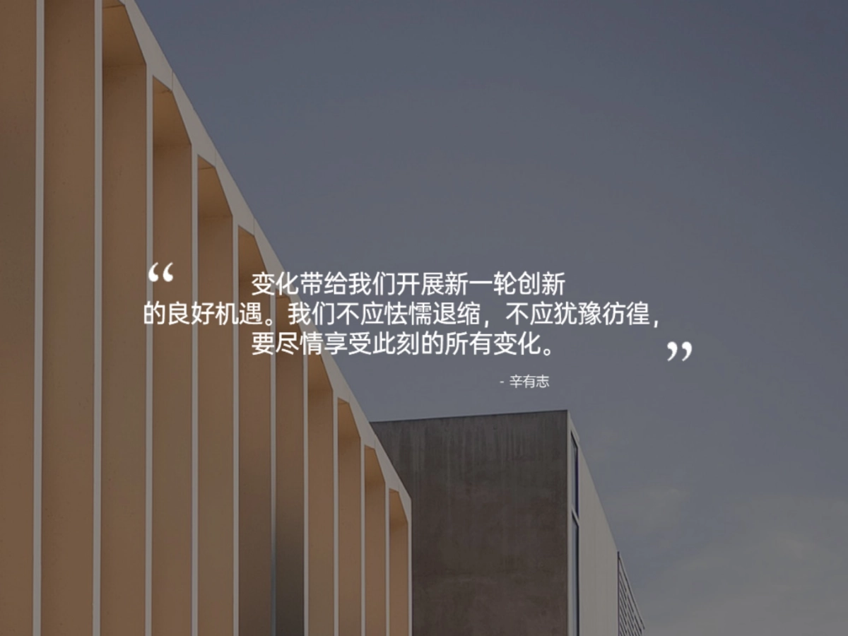 辛有志品牌战略发展报告_第3页