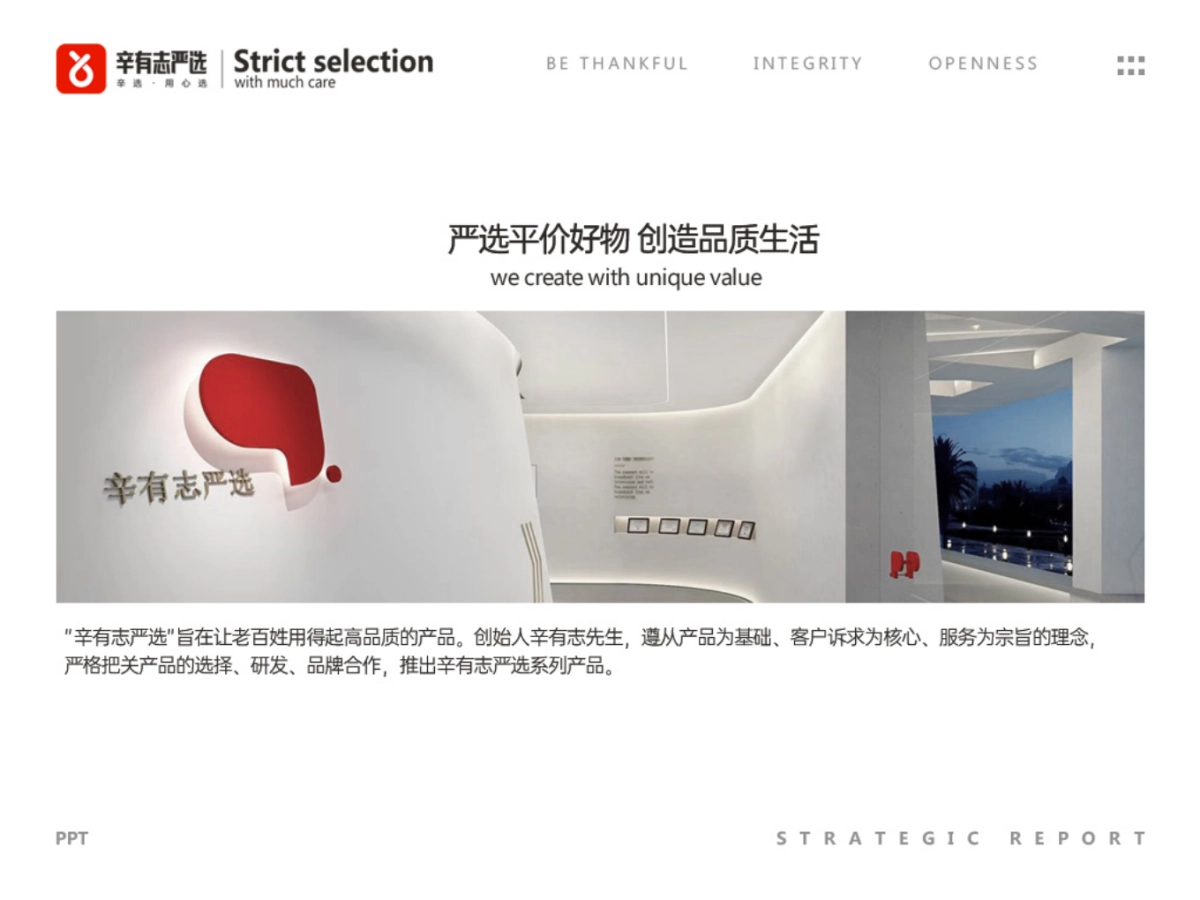 辛有志品牌战略发展报告_第4页