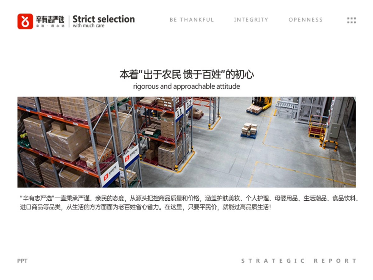 辛有志品牌战略发展报告_第5页