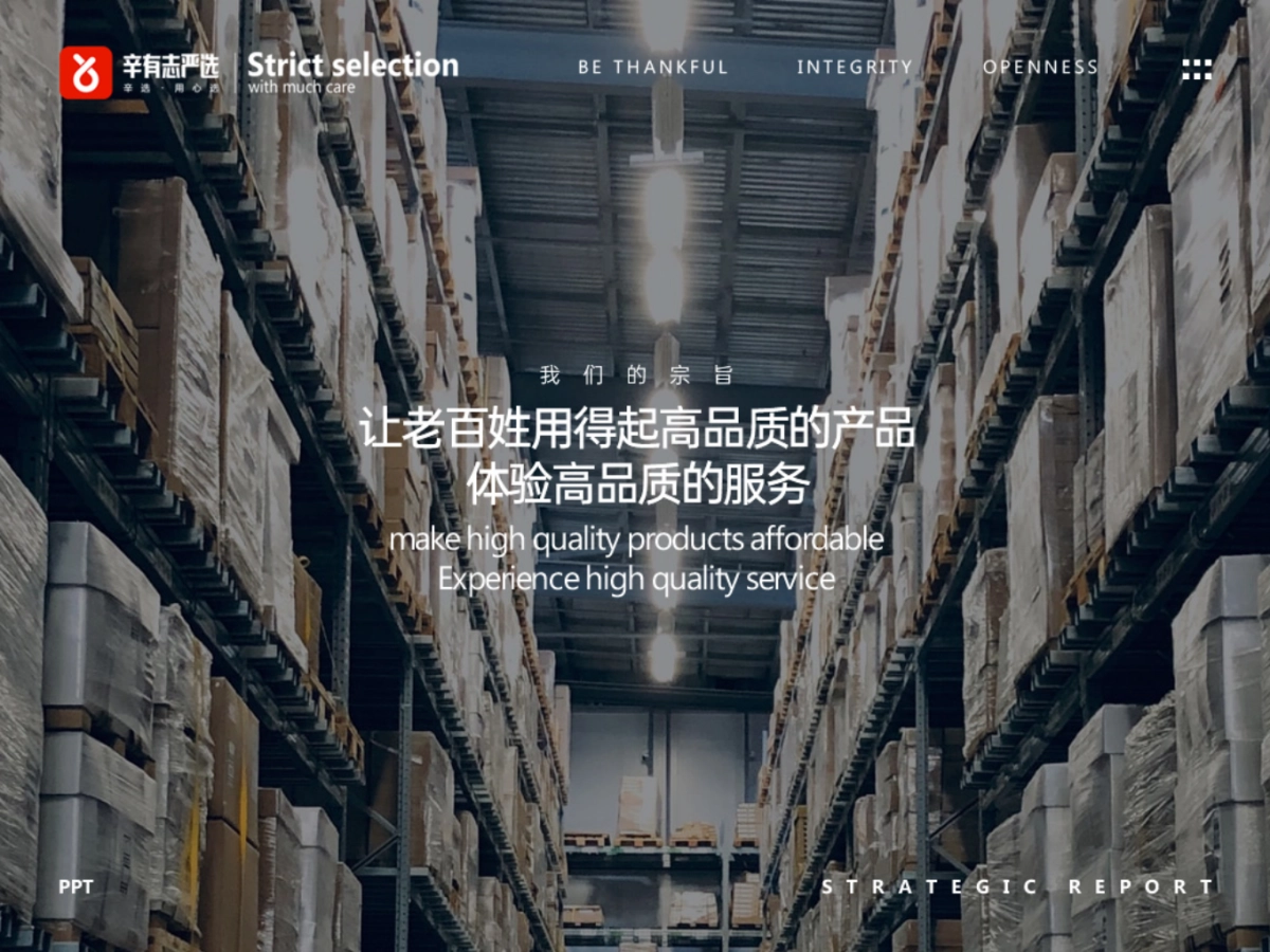 辛有志品牌战略发展报告_第6页