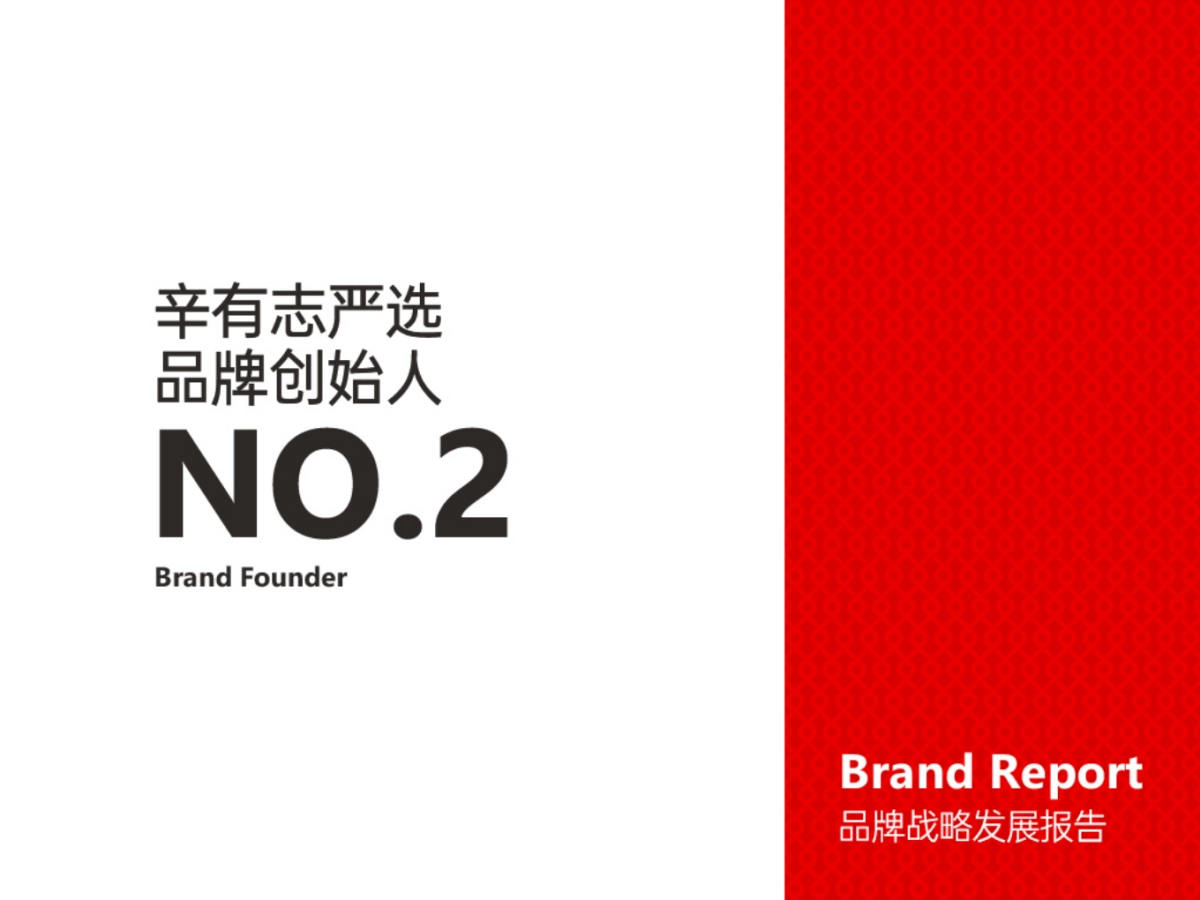 辛有志品牌战略发展报告_第7页
