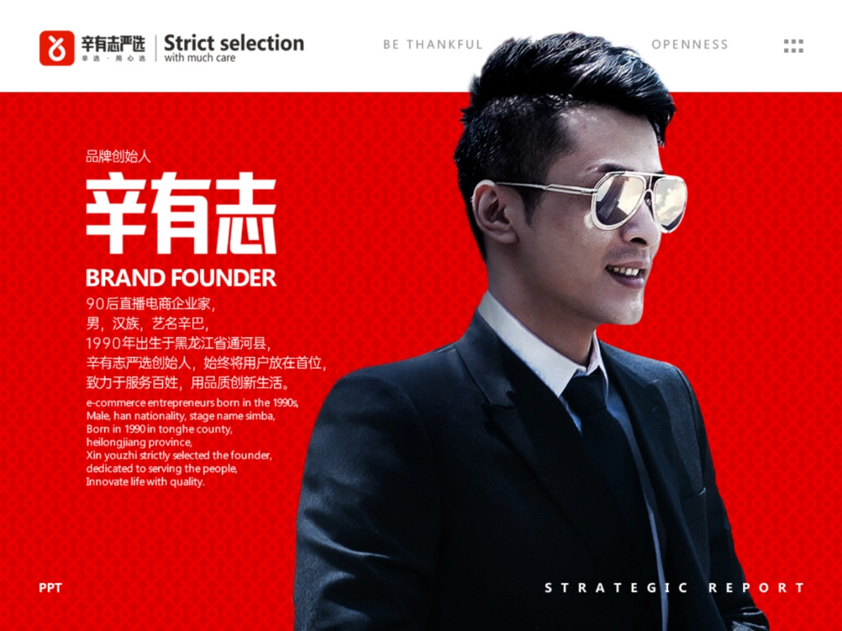 辛有志品牌战略发展报告_第8页
