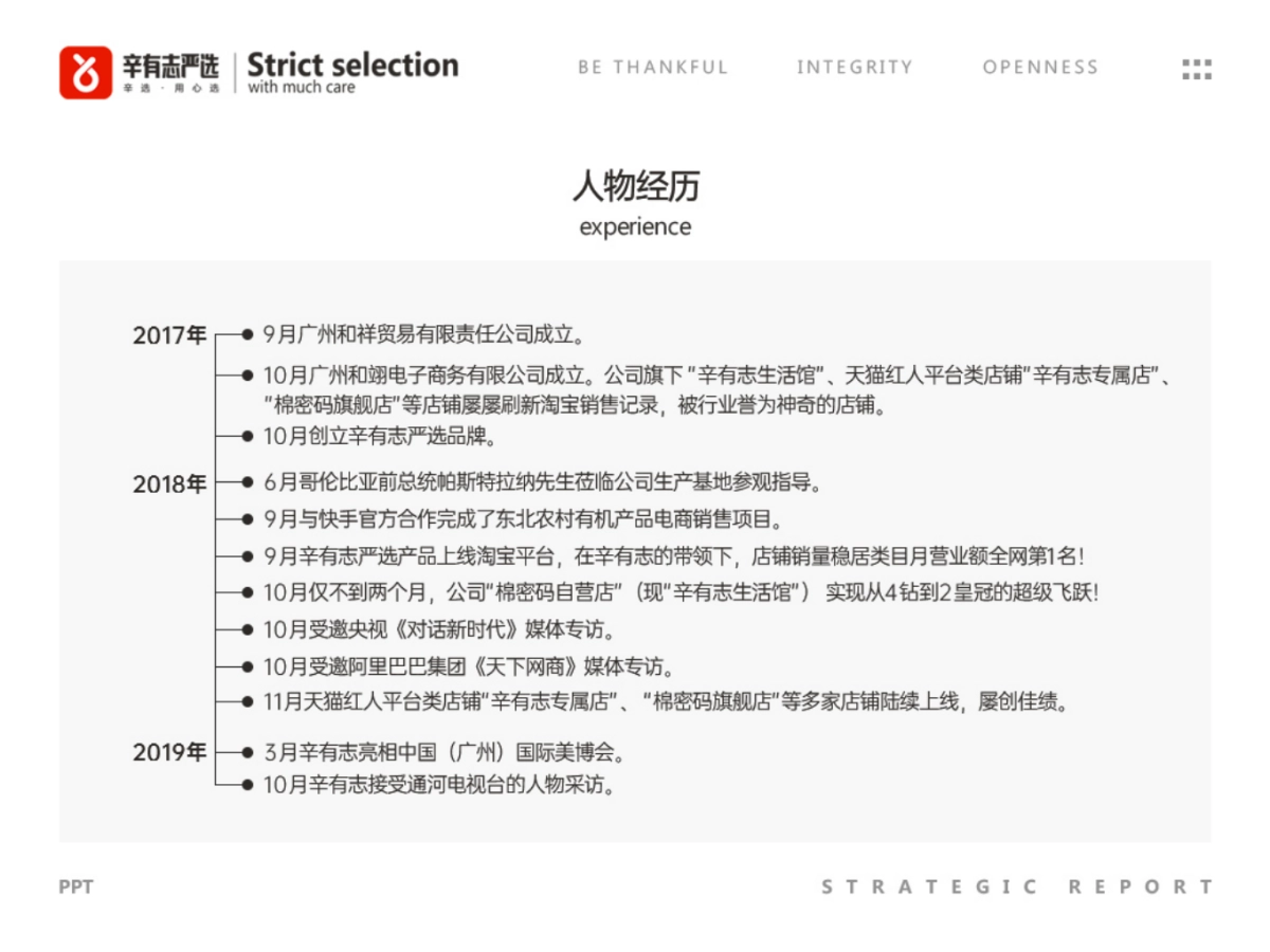 辛有志品牌战略发展报告_第9页