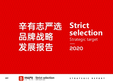 辛有志品牌战略发展报告