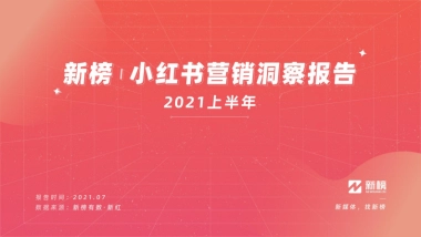 新榜有数新榜小红书营销洞察报告2021