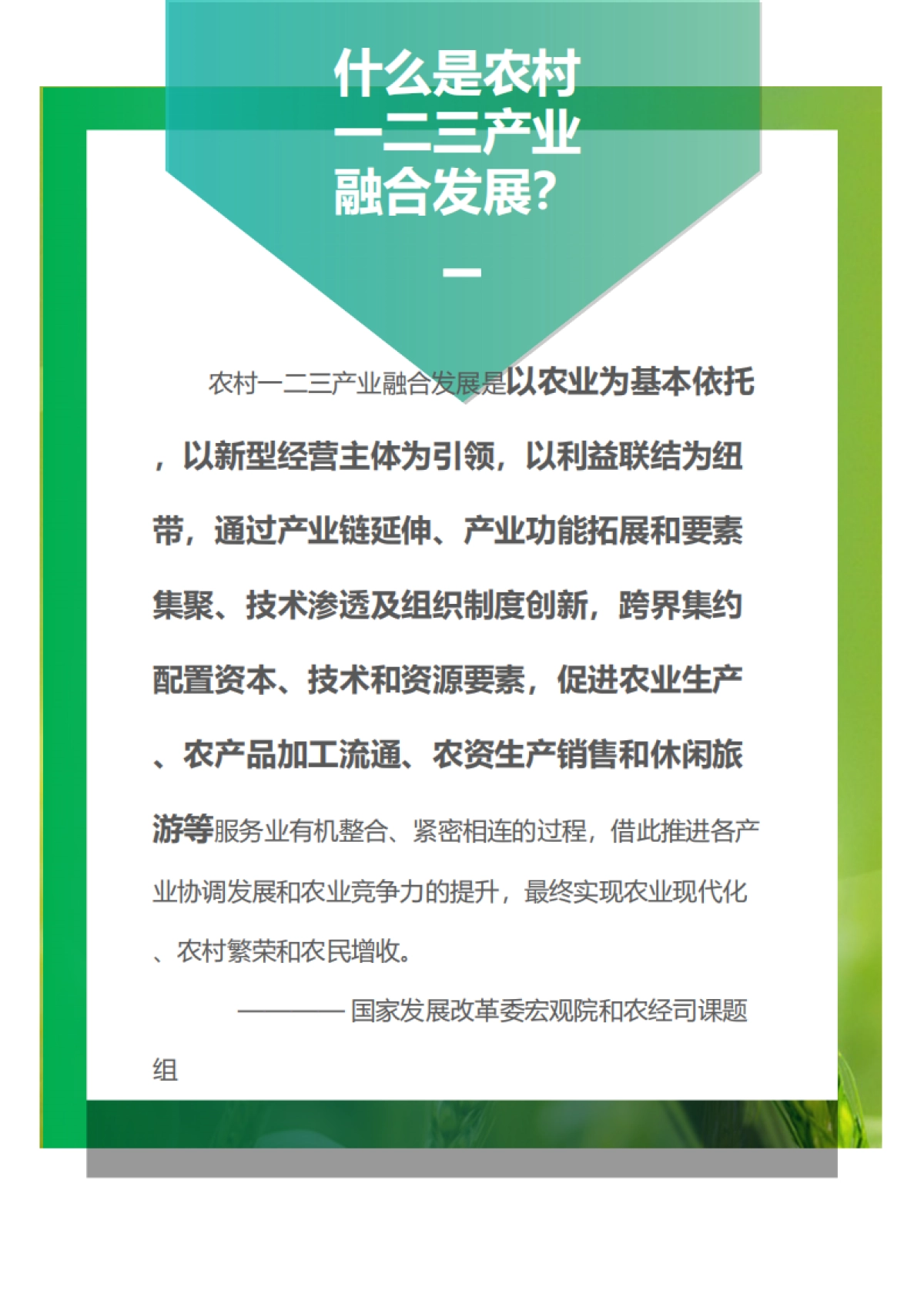 新华网：中国乡村振兴产业融合报告（2022）_第7页