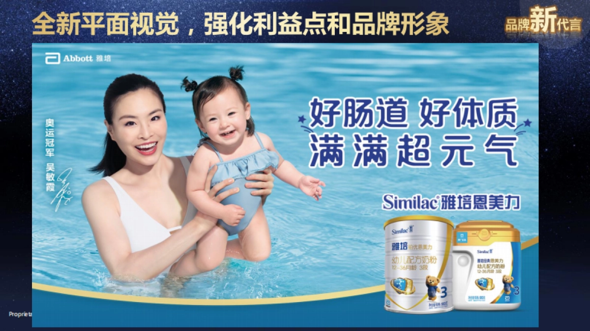 雅培经典恩美力2019市场及渠道计划_第10页