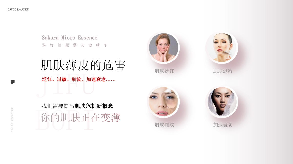 雅诗兰黛樱花微精华方案_第10页