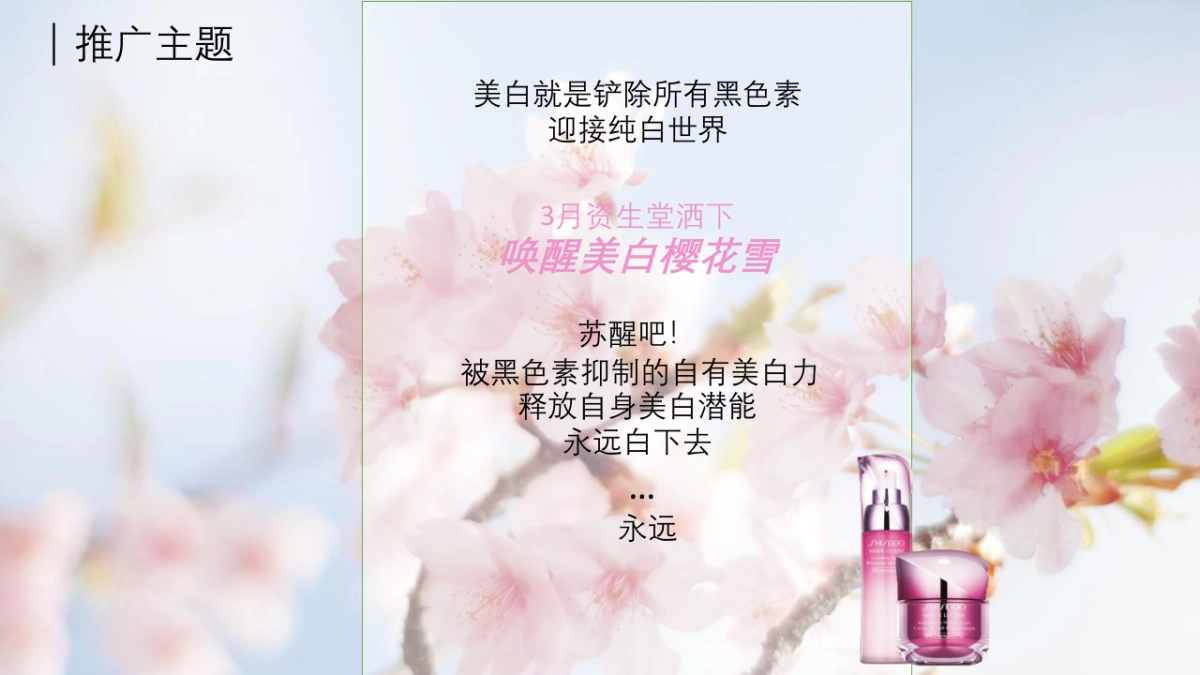资生堂美白系列digital proposal_第3页