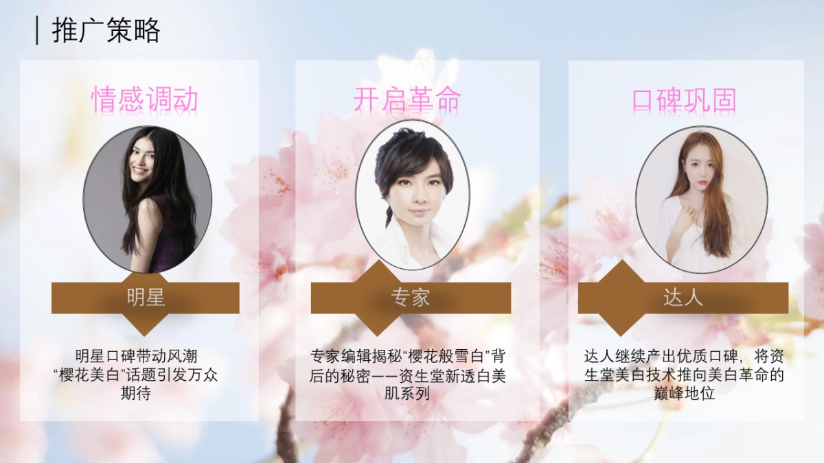 资生堂美白系列digital proposal_第4页